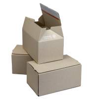 Verpackungsmaterial Graskartons 250x150x120mm Verpackungsmaterial Graskartons 250x150x120mm