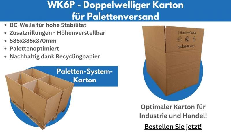 WK6P Kartonage mit variabler Höhe