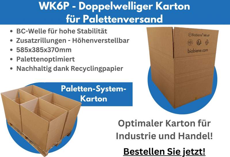 WK6P Kartonage mit variabler Höhe