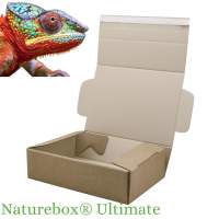 Umweltfreundliches Verpackungsmaterial Naturebox Ultimate 0748 SIlphie-Graskartons Umweltfreundliches Verpackungsmaterial Naturebox Ultimate 0748 SIlphie-Graskartons