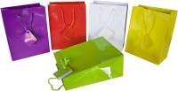 Geschenktaschen Tragetaschen Papier 23x18x10 cm farbig sortiert 10 Stück Geschenktaschen Tragetaschen Papier 23x18x10 cm farbig sortiert 10 Stück